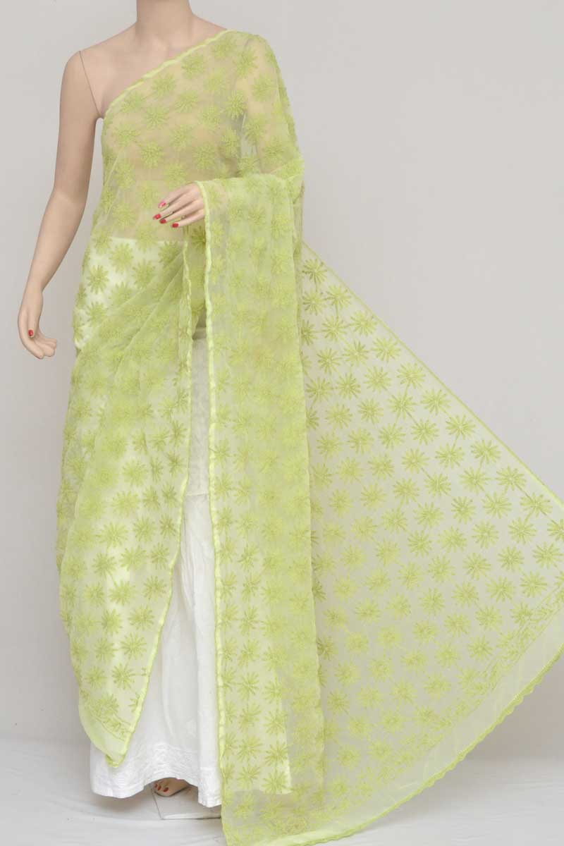 Green Allover Tepchi Hand Embroidered Lucknowi Chikankari Dupatta (georgette)kc250909